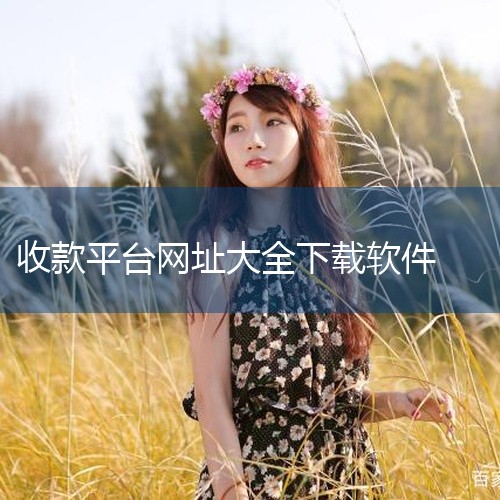 首先第一款掌客多远付通，专为私域经营商家量身打造，集多种远程收款、销售统计，账单管理、售后管理等功能为一体的产品！第二款就是非常全面的收钱吧app，功能实用还有语音提醒以及订单清晰一目了然，第三款支付,