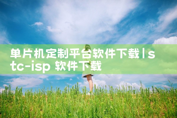 单片机定制平台软件下载
