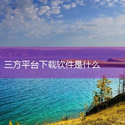 您可以在Microsoft Store、腾讯软件中心、360软件管家、百度软件中心、华为应用市场以及第三方软件下载平台（如豌豆荚、应用宝等）下载软件。以下是关于这些下载平台的简要介绍：Microsof,