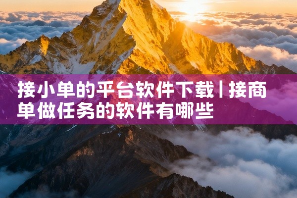 接小单的平台软件下载