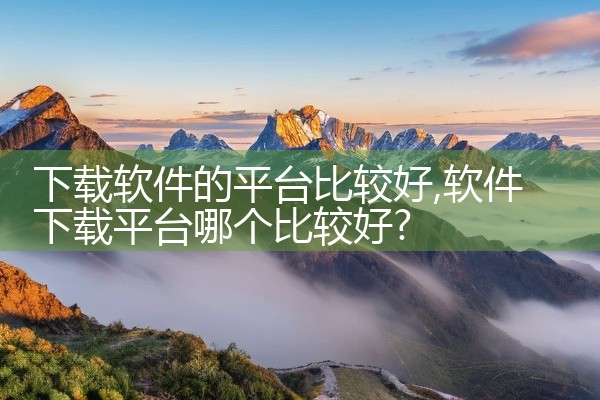 下载软件的平台比较好