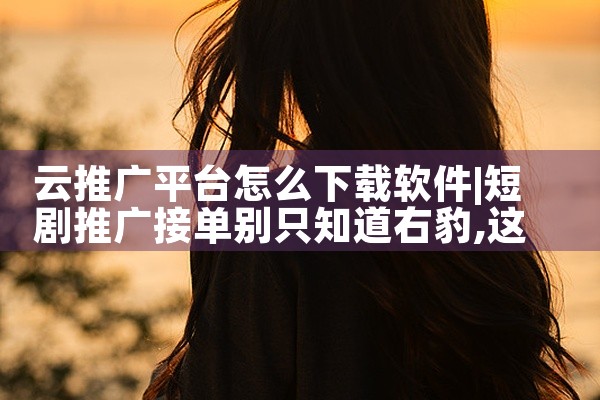 云推广平台怎么下载软件