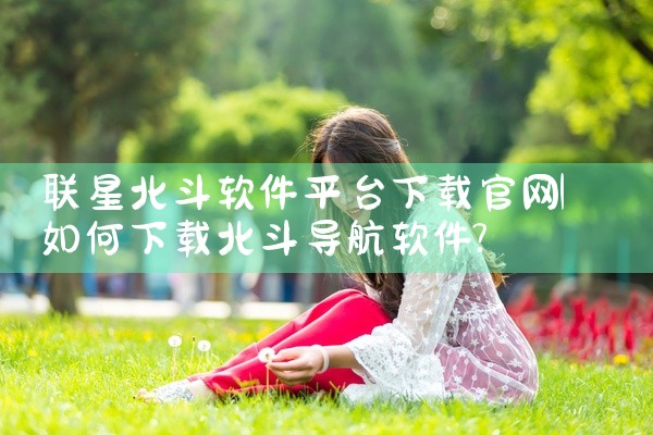 联星北斗软件平台下载官网