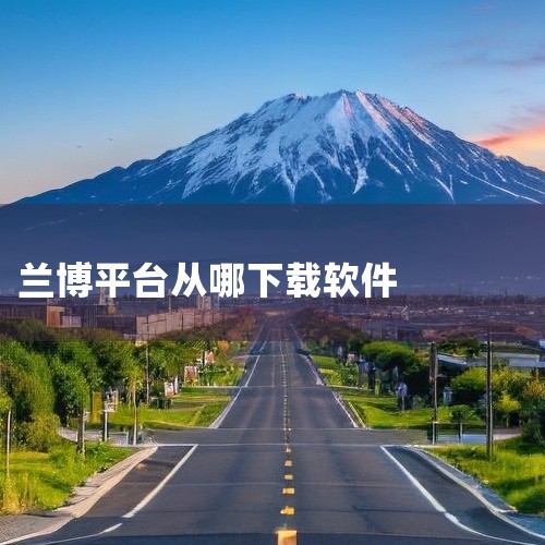 该App由广东兰博智能科技有限公司官方开发，支持iOS与安卓系统，用户需在手机应用商店搜索“兰博智家”下载安装，并完成设备绑定。远程对讲依赖Wi-Fi网络连接，要求锁体内置Wi-Fi模块且已接入家庭2,