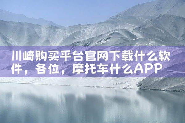 川崎购买平台官网下载什么软件