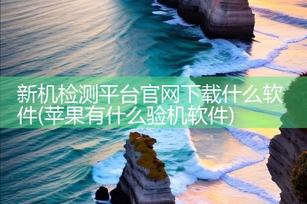 新机检测平台官网下载什么软件