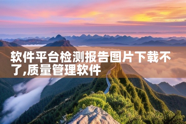 软件平台检测报告图片下载不了